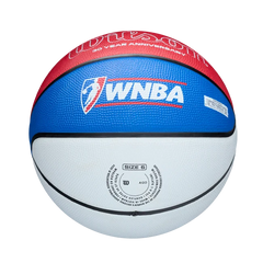 WNBA 30th Anniversary Retro Outdoor Basketball