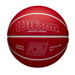 Chris Brickley Dribble Training Basketball