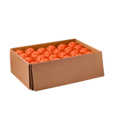TRU 32 Indoor Ball - Case