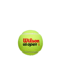 US Open Regular Duty 3 Ball Can (24 Pack)