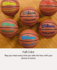 Evolution Game Ball