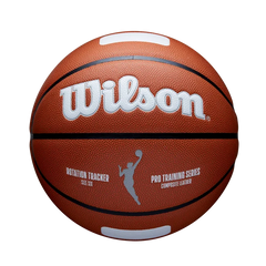 WNBA Rotation Tracker Basketball