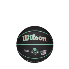 WNBA Player Icon Mini - Breanna Stewart