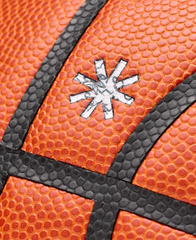 Inkwork Evolution Basketball