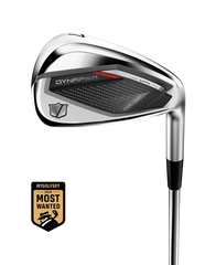 DYNAPWR Max Graphite Lite Irons