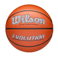 Inkwork Evolution Basketball