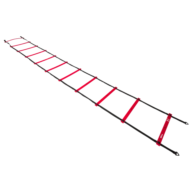 NBA Pro Training Ladder